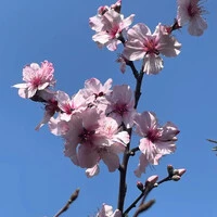 画像323