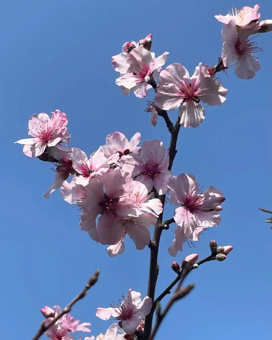 画像323