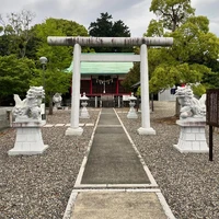 画像337