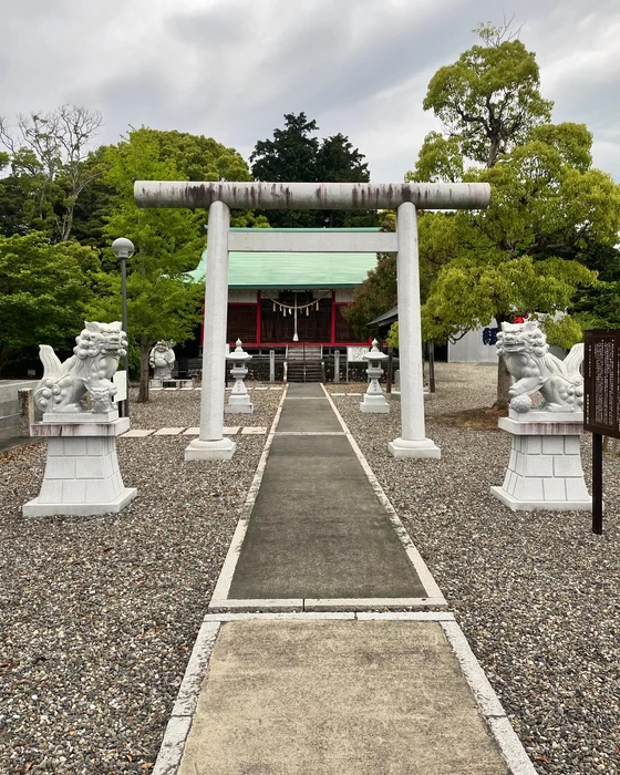 画像337