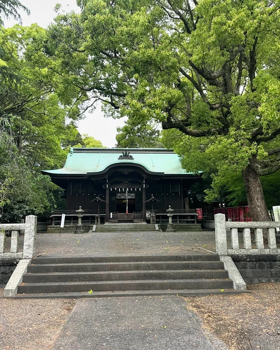画像338