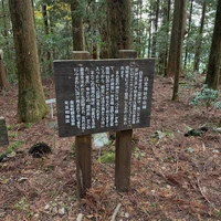 画像389
