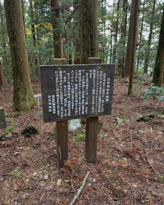 画像389