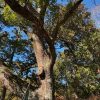 画像402