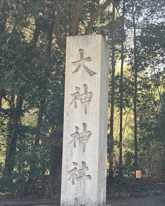 画像443
