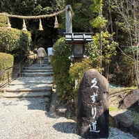 画像446