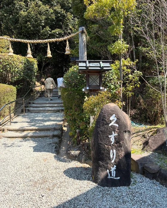 画像446