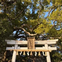 画像522