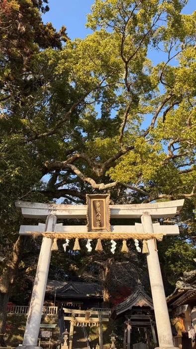 画像522