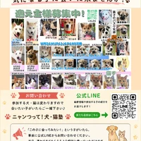 画像751