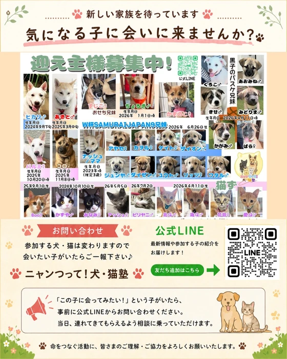 画像751