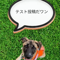 画像756