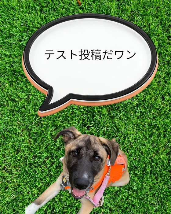 画像756